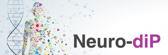 Dipartimento di eccellenza - NeurodiP