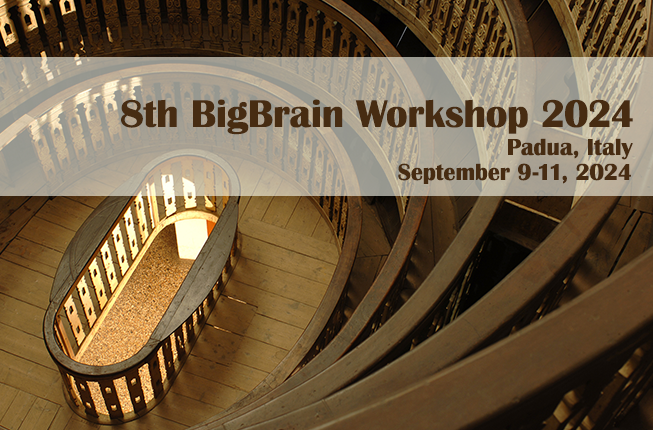 Collegamento a 8th BigBrain Workshop 2024